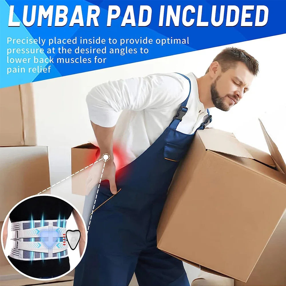 BEST Back Support Belt for Back Pain Relief