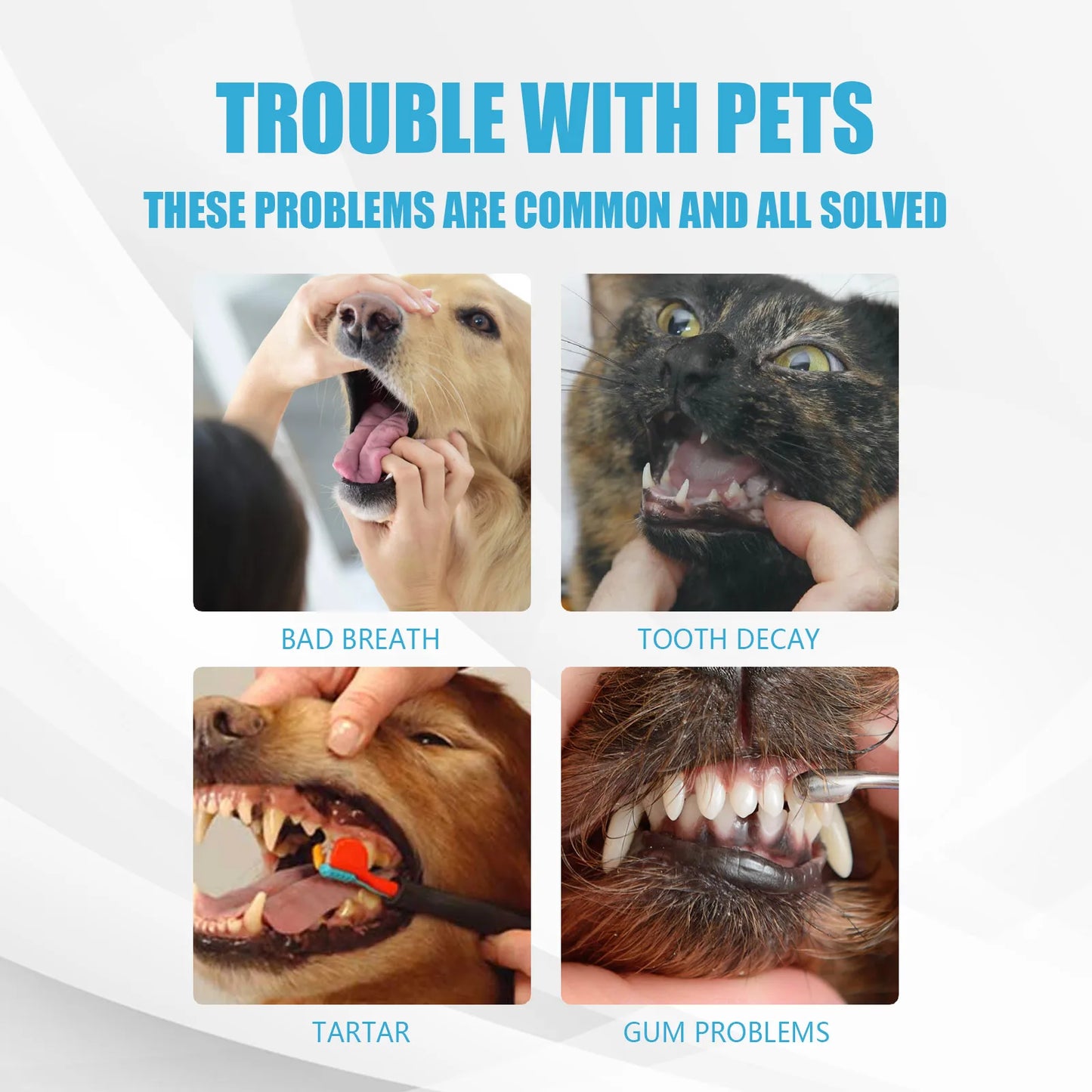 60g Cat Dog Pet Toothpaste Fresh Breath Edible Remove Bad Breath Tartar Dental Calculus For Dogs Cats Pet Dental Care Supplies