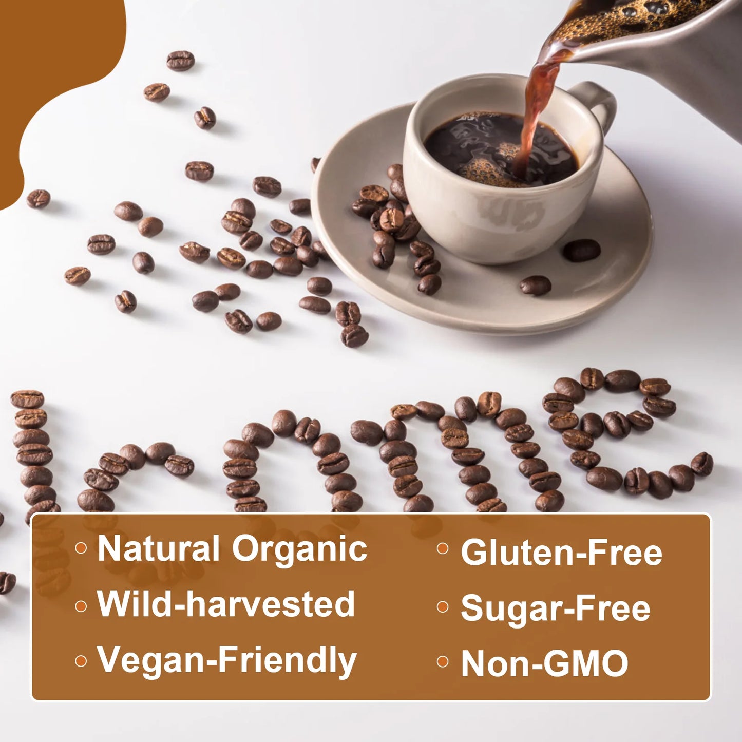 Mushroom Coffee Supplement 10 Mushroom Blend- Lion's Mane, Chaga, Cordyceps, Ashwagandha, L-Theanine for Energy, Focus, Memory