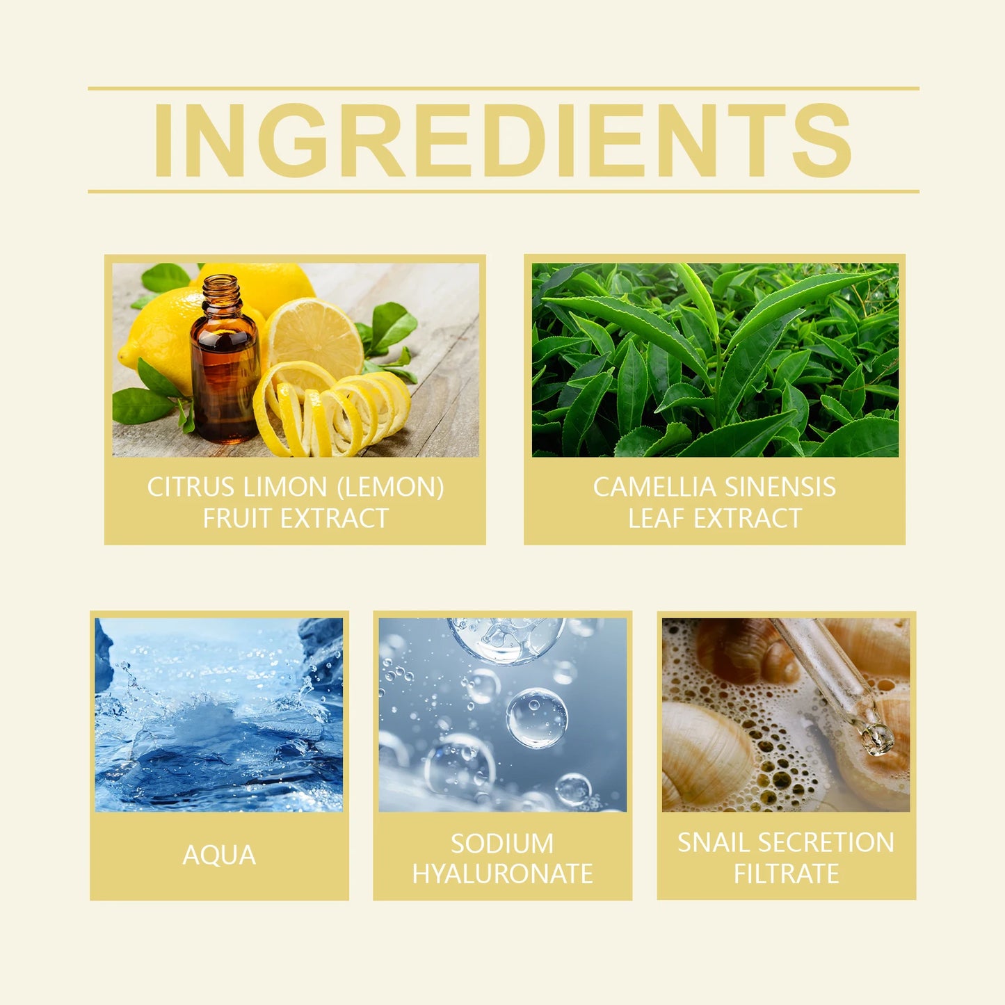 Snail Mucin 96% Korean Skin Care Fade Fine Lines Repair Tighten Firming Moisturizing Smooth Glow Brightening Facial Essence Set