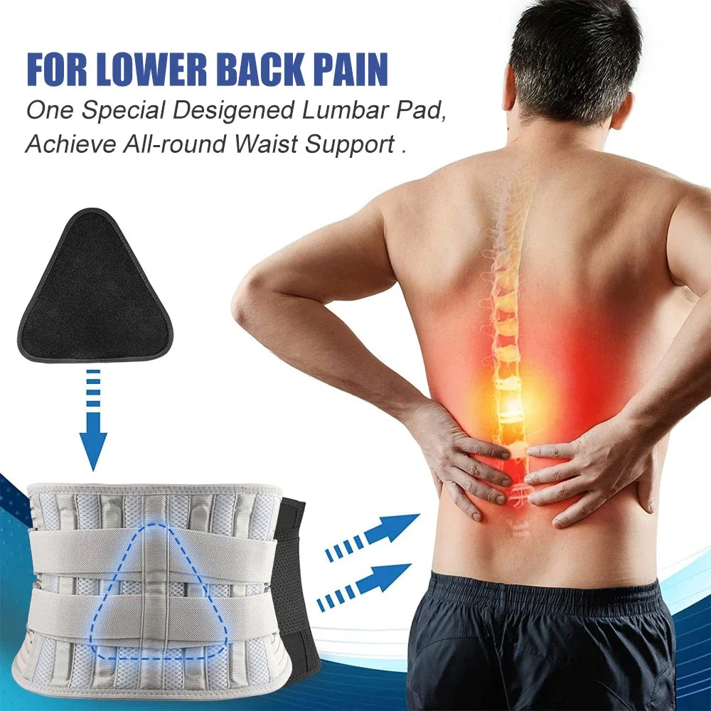 BEST Back Support Belt for Back Pain Relief